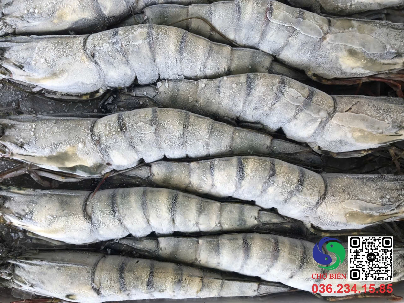 Sản phẩm Ocop thủy hải sản Bình Định