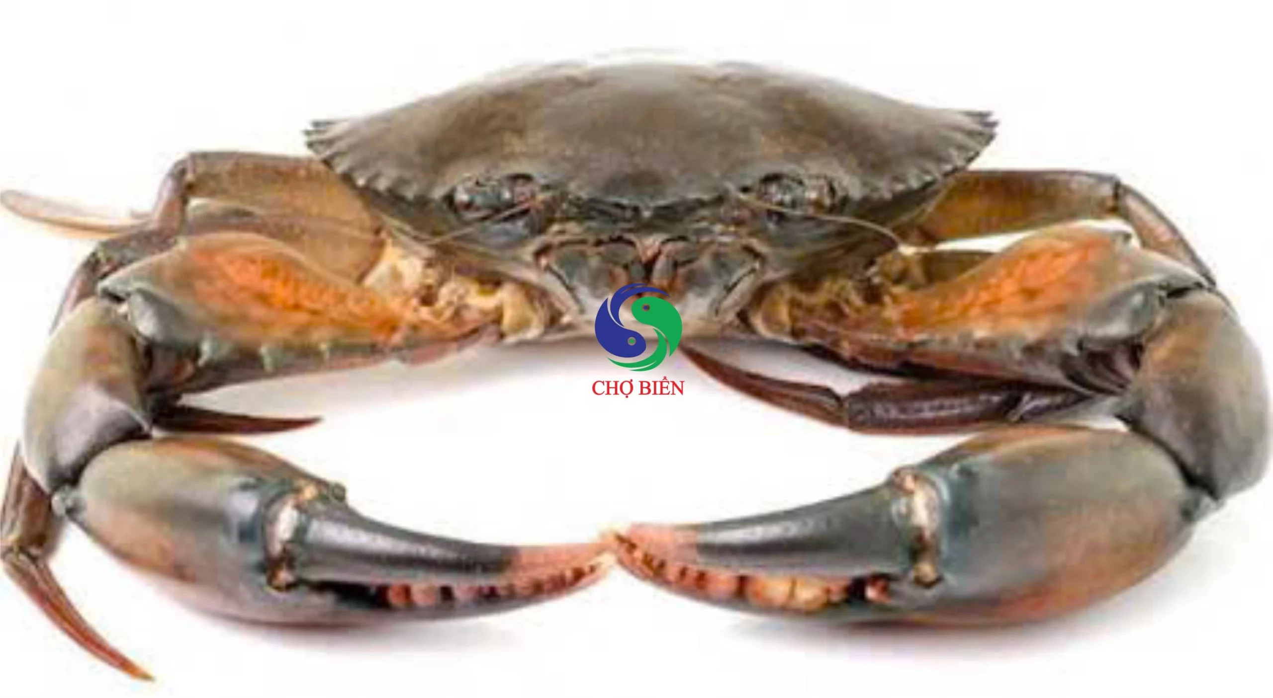 Sản phẩm Ocop Khang Tường – OCOP 3 Sao