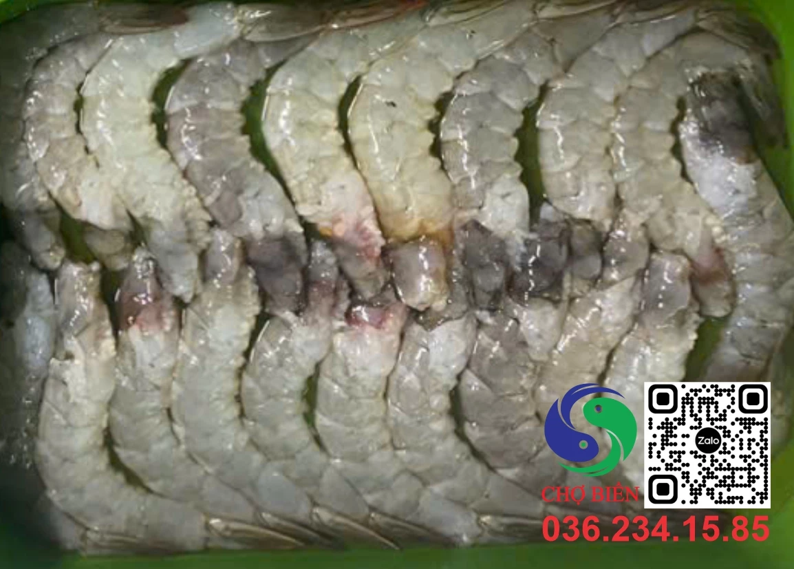 Sản phẩm Ocop thủy hải sản Bình Định