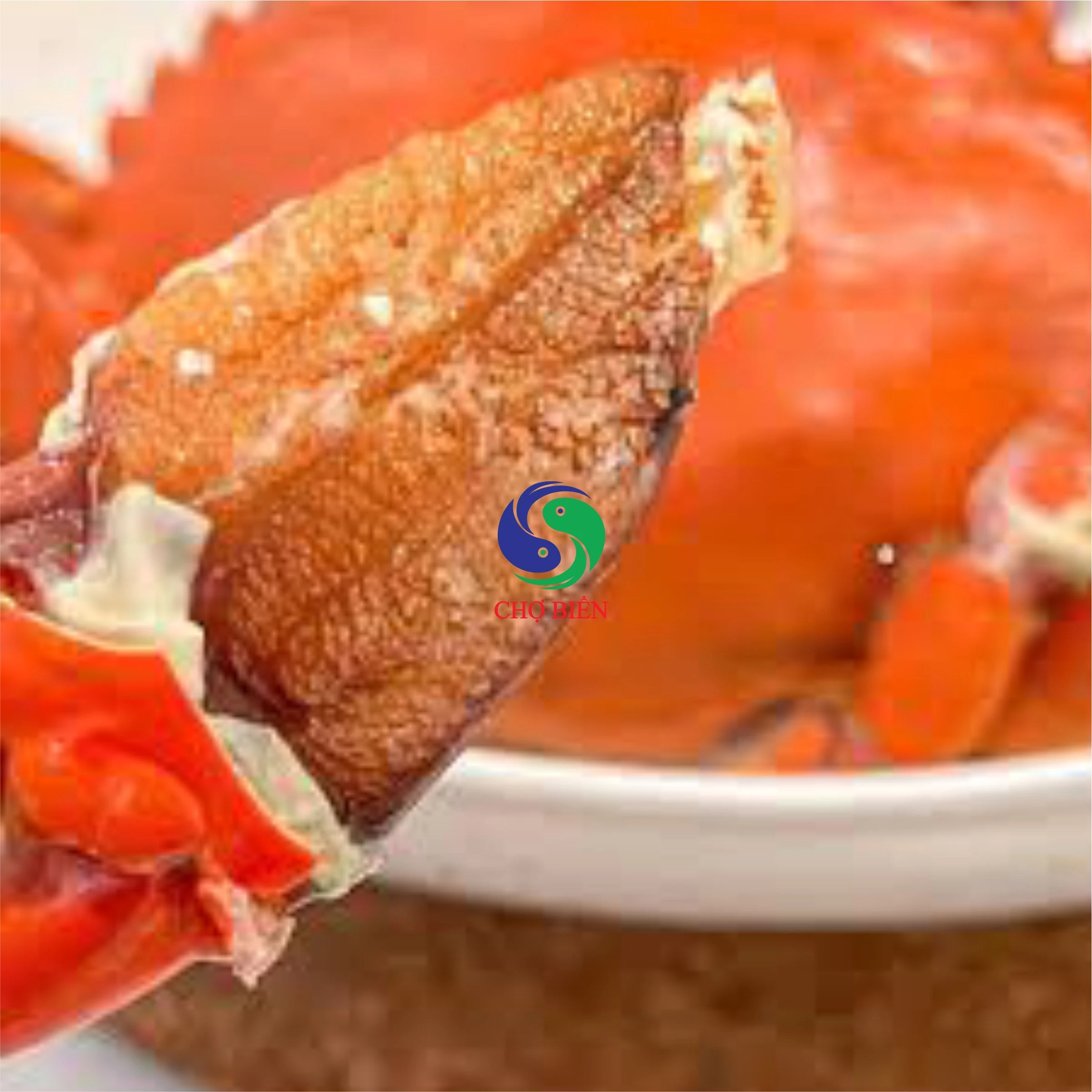 Sản phẩm Ocop Khang Tường – OCOP 3 Sao