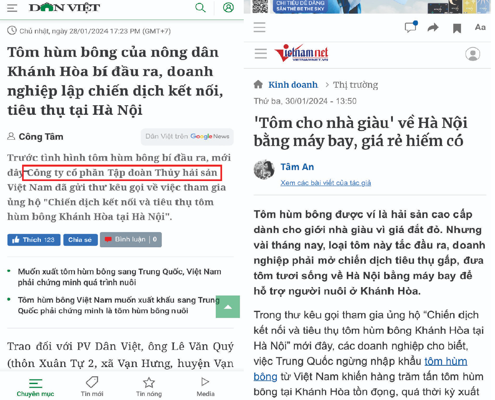 Truyền thông nói về chúng tôi