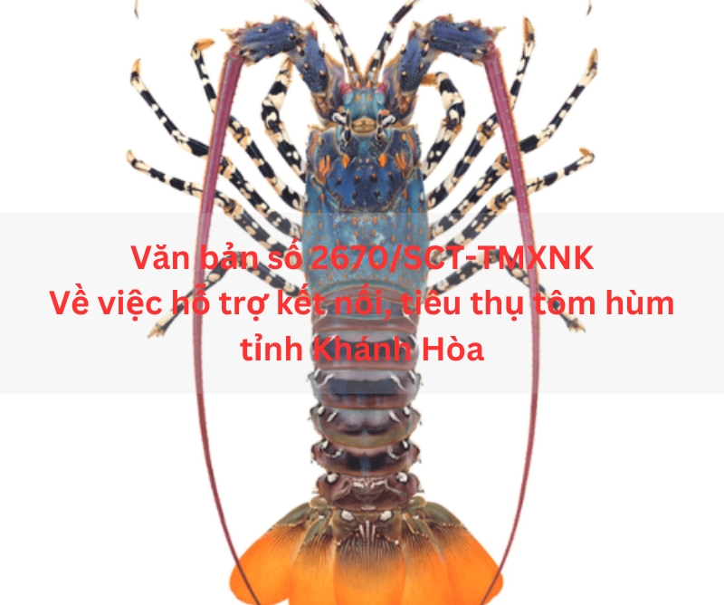 Văn bản số 2670/SCT-TMXNK-Về việc hỗ trợ kết nối, tiêu thụ tôm hùm tỉnh Khánh Hòa