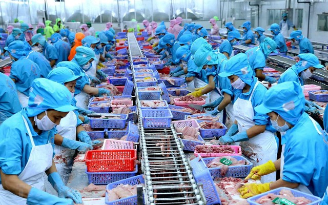 Sắp diễn ra Hội nghị giao thương trực tuyến thủy sản Việt Nam - EU 2022 | VTV.VN
